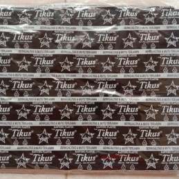 Tikus